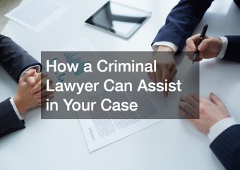 How a Criminal Lawyer Can Assist in Your Case