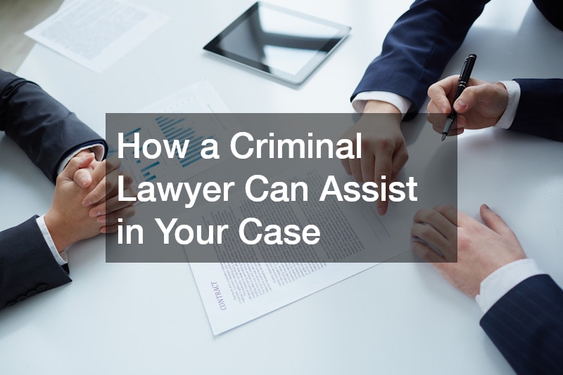 How a Criminal Lawyer Can Assist in Your Case